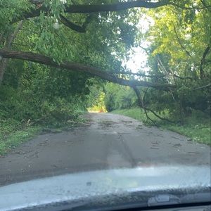 Meet your Posher, Keith